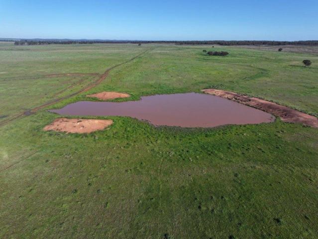 Property for sale in West Wyalong, New South Wales