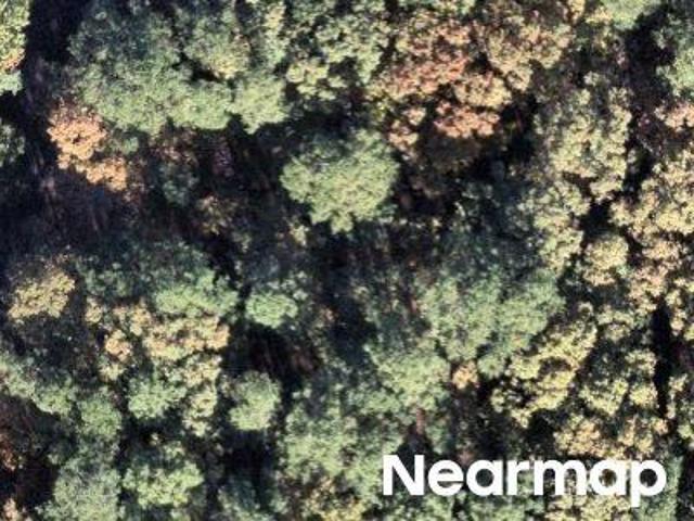 Land for sale in Ark