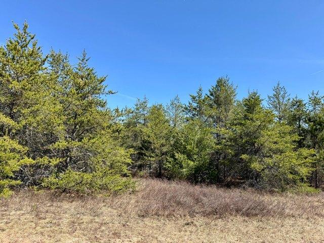 Land for sale in Woodruff, Wisconsin