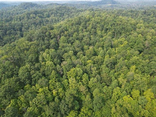Land for sale in West Virginia