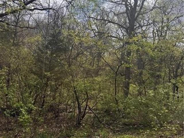 Land for sale in Missouri