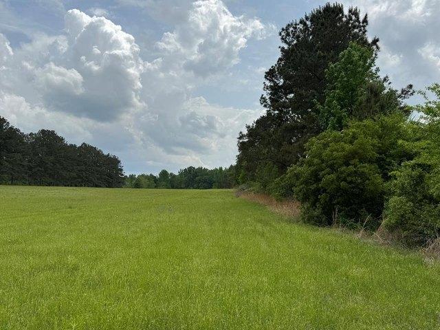 Land for sale in Terry, Mississippi
