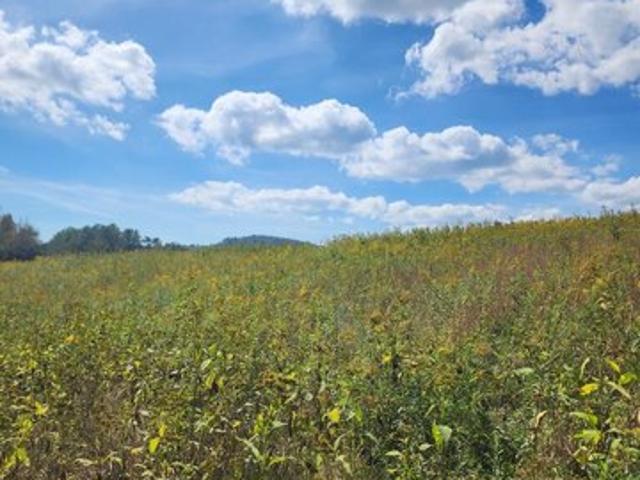 Land for sale in Stuart, Patrick County
