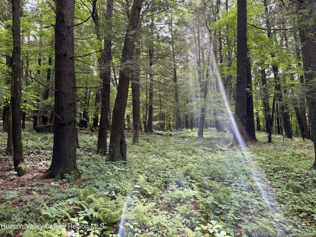 Land for sale in Village of Athens, Town of Athens