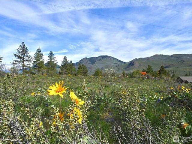 Land for sale in Winthrop, Washington