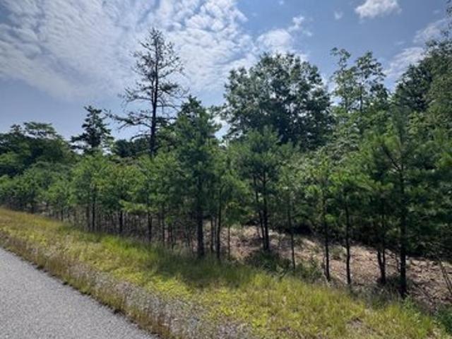 Land for sale in Hazle Township, Luzerne County