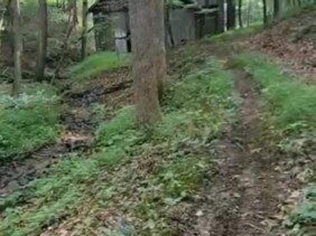 Land for sale in Yancey, North Carolina