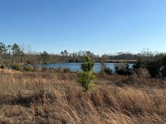 Land for sale in Lyons, Georgia