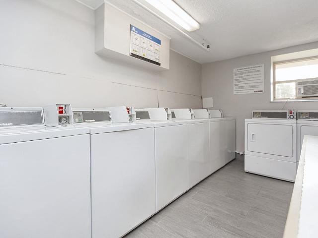 Apartment for rent in Kingston, Ontario