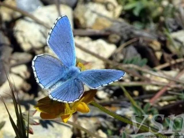 Casa en alquiler en La Zubia, Granada