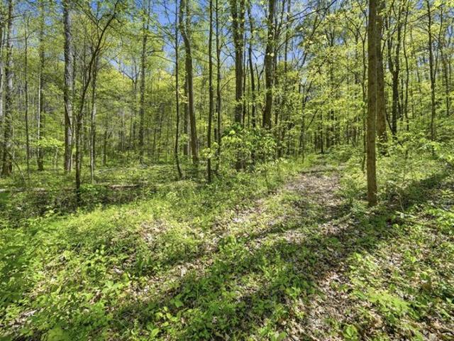 Land for sale in Tennessee