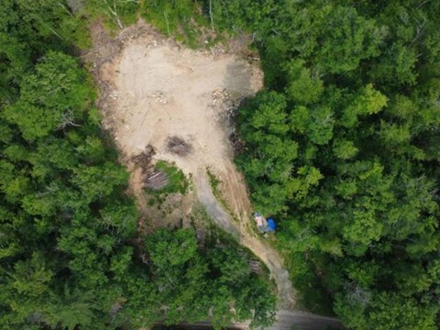 Land for sale in Waterford, Maine