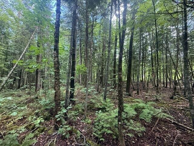 Land for sale in Caribou, Maine