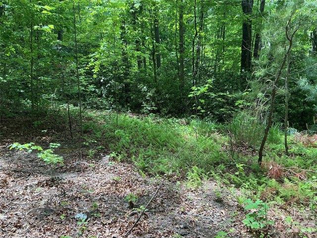 Land for sale in Saluda, North Carolina