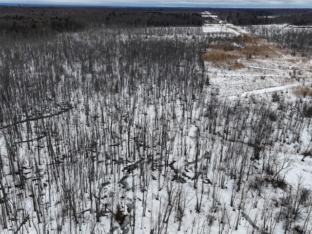Land for sale in New Haven, New York