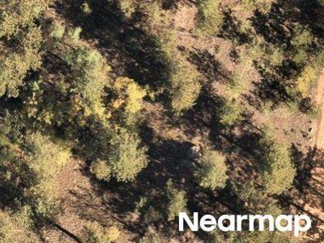 Land for sale in Bailey, Colorado