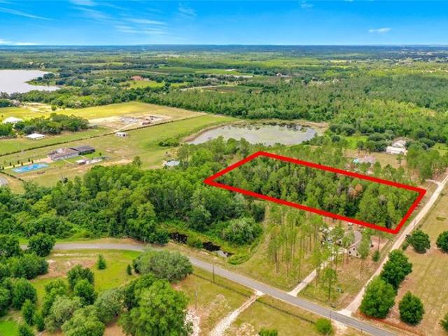 Land for sale in Clermont, Florida