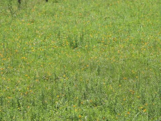 Land for sale in Clermont, Florida