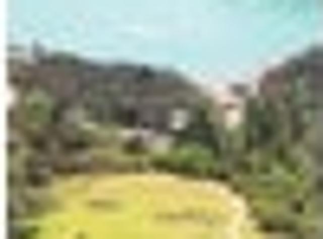 Land for sale in Karetu, Northland