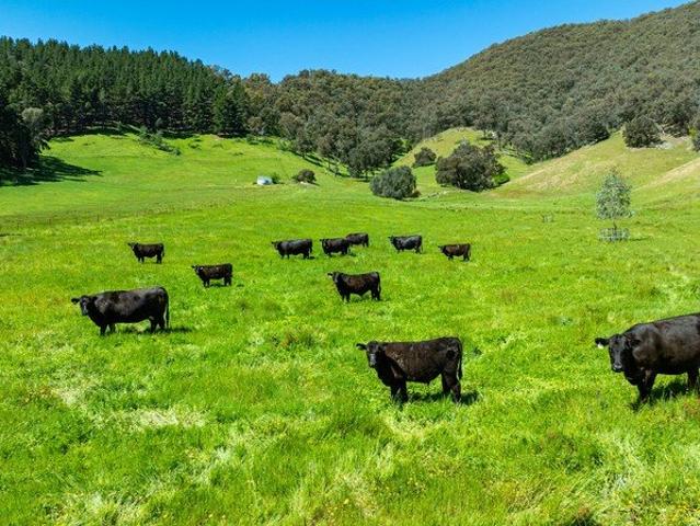 Cottage for sale in Tallangatta South, Shire of Towong