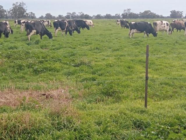 Property for sale in Barham, New South Wales