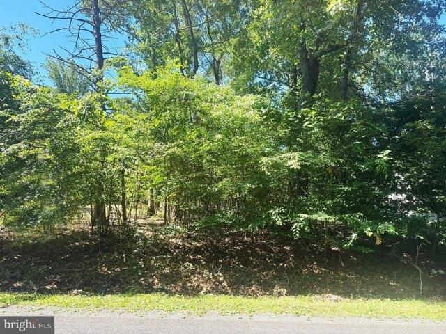 Land for sale in Virginia