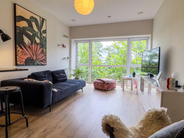 Apartment to rent in Dun Laoghaire
