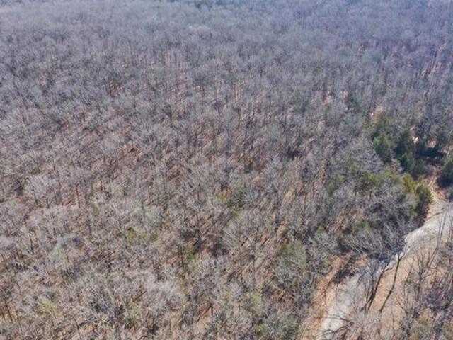 Land for sale in Ark