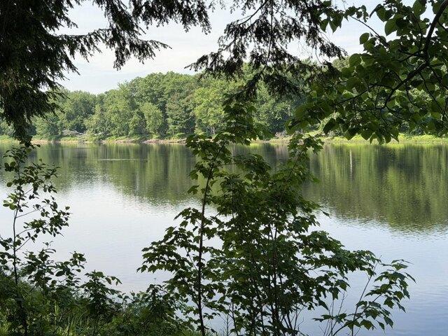 Land for sale in Greenbush, Maine