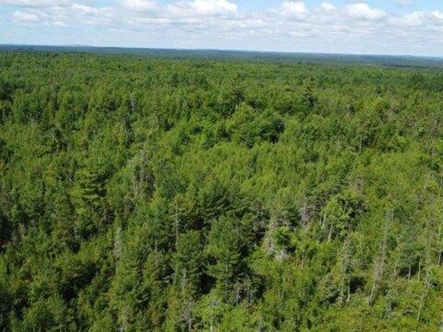 Land for sale in Cardville, Greenbush