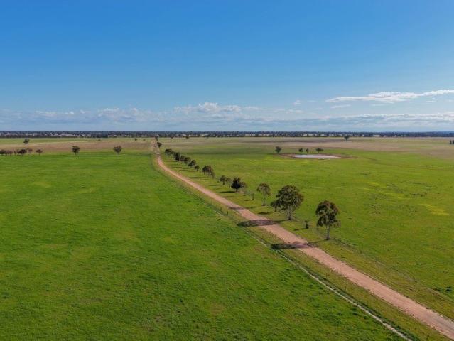 Acreage for sale in West Wyalong, New South Wales