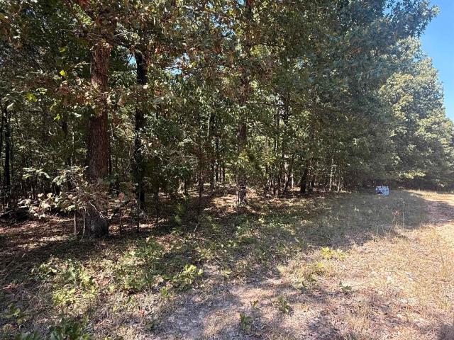 Land for sale in Ark