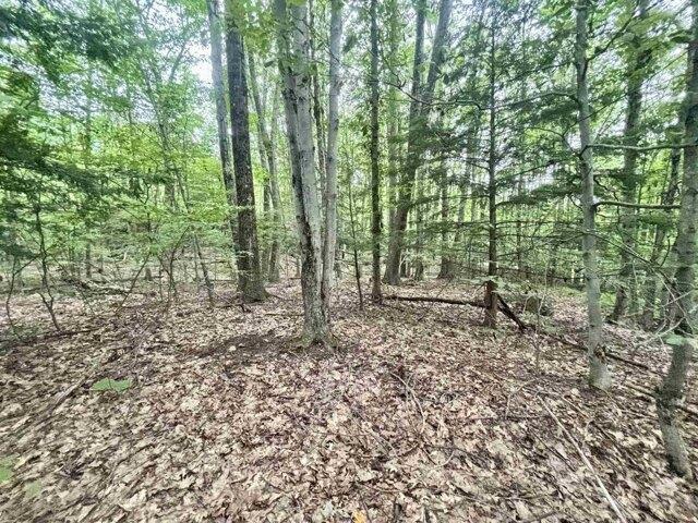 Land for sale in New Hampshire
