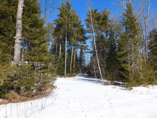 Land for sale in Greenbush, Maine