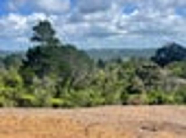 Land for sale in Paremoremo