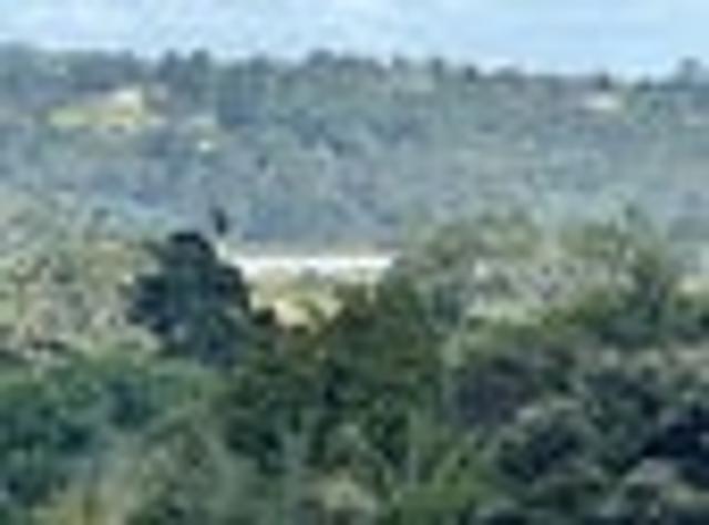 Land for sale in Paremoremo