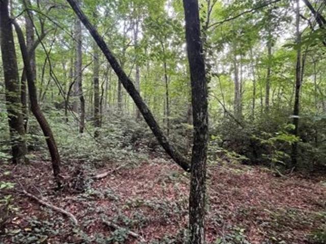 Land for sale in Flat Rock