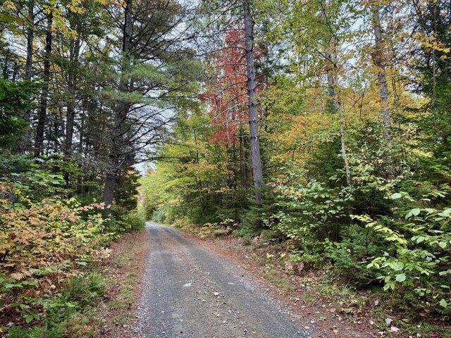 Land for sale in Abbot, Piscataquis County
