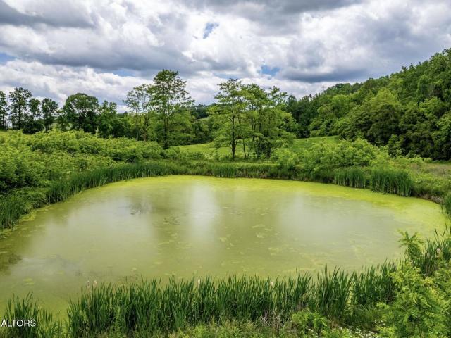 Land for sale in Tennessee