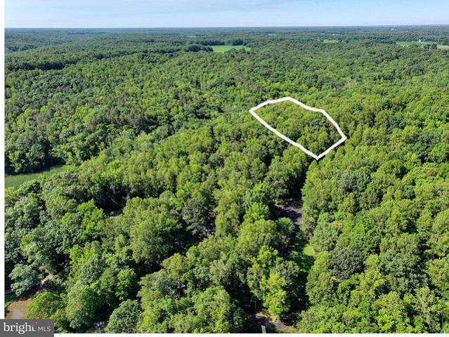Land for sale in Virginia