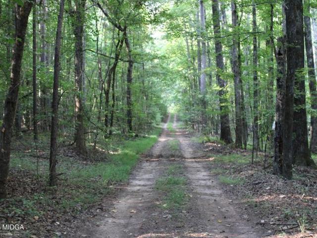 Land for sale in Union Point, Georgia