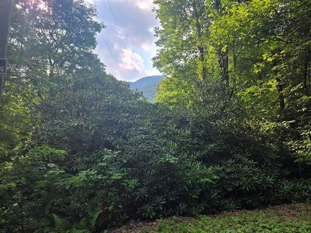 Land for sale in Sylva, North Carolina