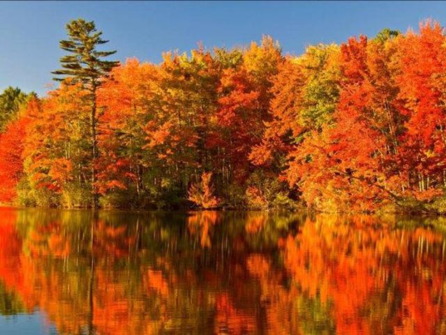 House for rent in Muskoka, Ontario