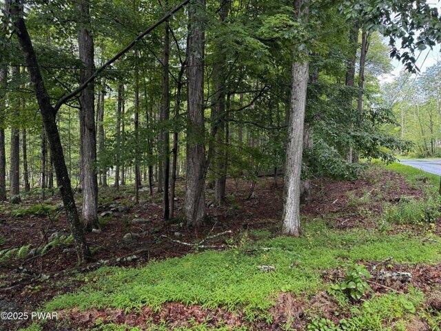 Land for sale in Greentown, Pennsylvania