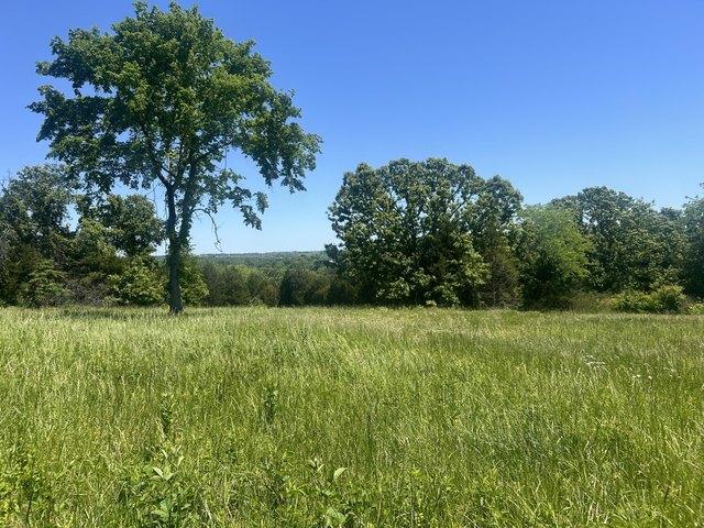 Land for sale in Mountain Grove, Missouri