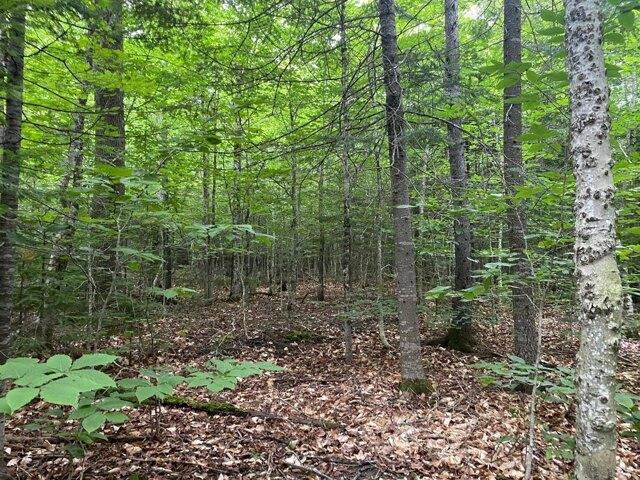 Land for sale in Greenville, Maine