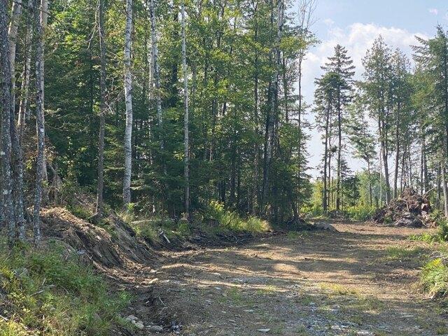 Land for sale in Greenville, Maine