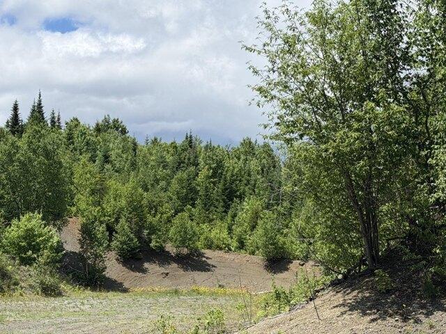 Land for sale in Greenville, Maine