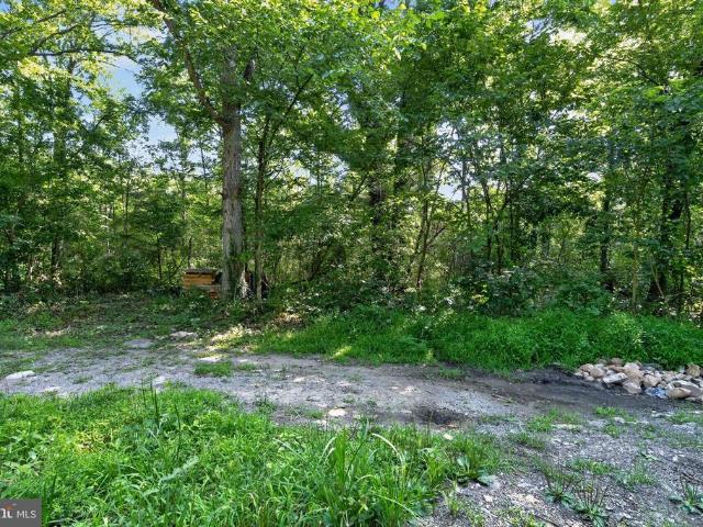 Land for sale in Virginia