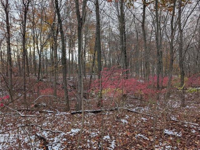 Land for sale in Lodi, Medina County